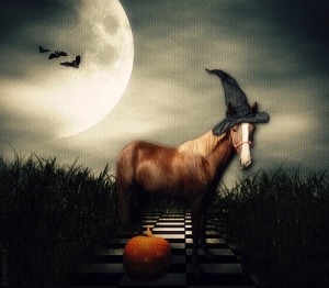 When witches go riding,  and black cats are seen,  the moon laughs and whispers, ‘tis near Halloween.  ~Author Unknown